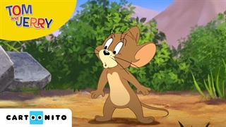 انیمیشن تام و جری