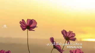 خدایا سپاسگزارم  -  جملات تاکیدی شکرگزاری