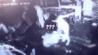 و این پایان یو منگ لونگ بود کپشن چک شه