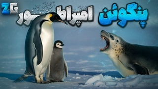 چجوری این پرنده ، امپراطور قطب جنوب شد؟ (قاره مرگبار جنوبگان)