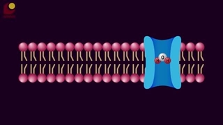 دنیای شگفت انگیز سلول