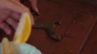 مینی چینی سریال ندیمه The Maidقسمت23بازیرنویس فارسی