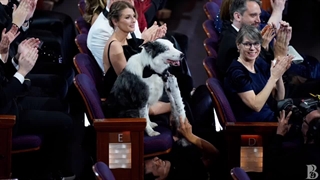 8لحظه بیادماندنی مراسم اسکار2024