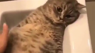 امروز مدیر ساعت هفت صبح به مانتوم گیر داد هه هه هه:)