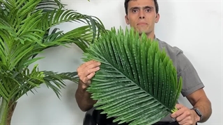 خرید برگ مصنوعی نخل کنتیا سایز کوچک، انتخابی ایده‌آل برای دکوراسیون طبیعی و زیبا!