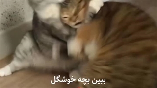 ببین بچه خوشگل تو.....