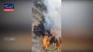 ۸ هکتار از پوشش گیاهی دامنه قله دماوند در آتش سوخت