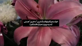 روز همتووونن مباارک باشههه:) ✨⭐