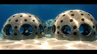 آریاساسول فقط سازه نمی‌سازه، داره امید می‌کاره کف دریا