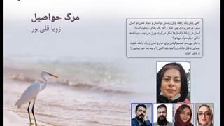 مجموعه داستان «مرگ حواصیل» نویسنده «زویا قلی‌پور» بخش چهارم