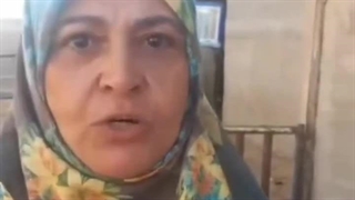 آموزش وطن دوستی و وطن پرستی از یک زنبور عسل