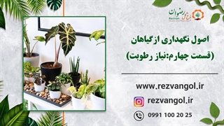 اصول نگهداری از گیاهان (نیاز رطوبت)