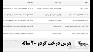 طریقه هرس درخت گردو