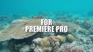 دانلود پریست پریمیر ترنزیشن Bounce پویا و حرفه‌ای