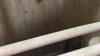 تاسیسات سعادت آباد