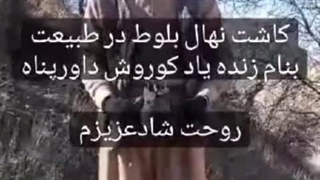 کاشت نهال بلوط بنام زنده یاد کوروش داورپناه 2