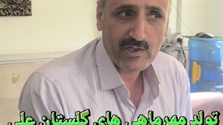 عموهای همکلاسی