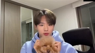 لایو جونسو و پودینگی