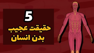 ۵ حقیقت عجیب و باورنکردنی درباره بدن انسان  | دانستنی‌های جالب علمی