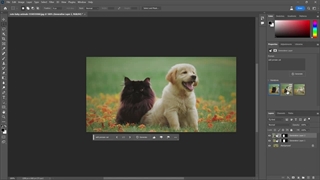 هوش مصنوعی جدید ادوبی در فتوشاپ - AI art generator – Adobe Firefly
