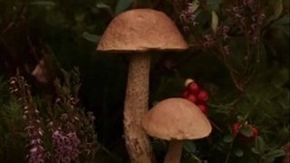 تخلیه گالریم 3