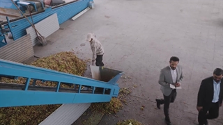 داستانی راز باغ پسته