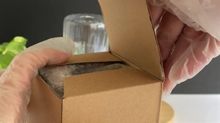 ساعت شنی کریستالی کلاسیک