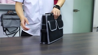 نظم دهنده صندوق عقب خودرو گرین لاین Green Lion Car Trunk Organizer 57L