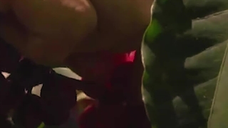 قهوه سترن پانتیل