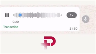 پژمان جمشیدی کانادا آبان1404ش