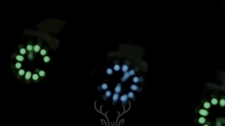 رؤیای رولکس 