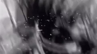 اگر کسانی که این کاراکتر های انیمه را دوست دارند ...... (فرد بسیار آرامی هستن)