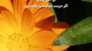 قدرت تشخیص - سوره انفال آیه ۲۹ (قرآن مهر)