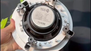 اسپیکر های سقفی (بلندگو سقفی) باکیفیت برند نایس وویس با مدل های 20، 30 و 40 وات