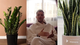 حقیقت تلخ نگهداری زاموفیلیا و نگهداری سانسوریا