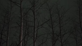 یه برنامه جدید از کتسای با زیرنویس فارسی توی اون کانالم گذاشتم ( ادامه کپشن )