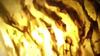 سطح فایت های بلیچ جنگ خونین  دو هزار ساله بینظیره