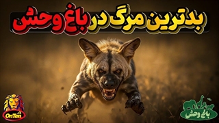 وقتی حیوانات اسیر شده در باغ وحش ها عصبانی میشوند