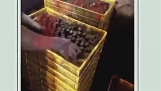 خط تولید دستگاه زغال ساز ۰۹۱۲۲۴۷۸۱۰۰ دستگاه زغال فشرده چینی