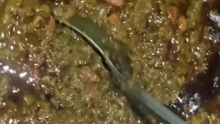 رستوران حوریا