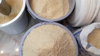 برنج سرای آرمان