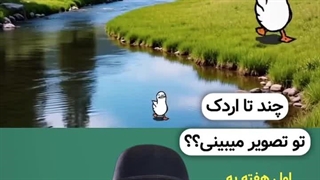 امشب، لحظه‌ های خاص خود را در رستوران آقای کباب نو بسازید.