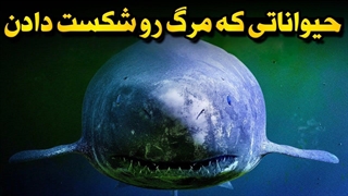 حیواناتی که قوانین مرگ رو زیر پا گذاشتن