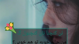 تلفظ درست و کاملا صحیح اهنگ فلاور (گل) از کیم جیسو