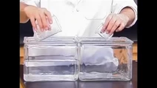 کهکشان راه شیمی