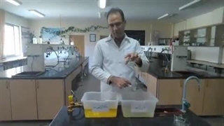 کهکشان راه شیمی