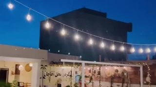 نخل آقا جان