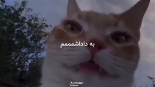 مبینا داداش چطوری؟!