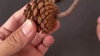 ساخت کاردستی شتر مرغ