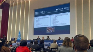 تقویت نقش‌آفرینی ایران در یونسکو با عضویت در چهار کمیته جدید